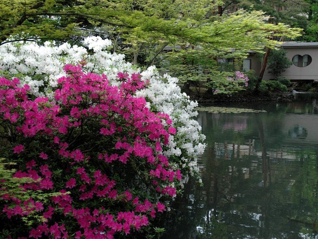 Matsusaki Nomi Exterior foto