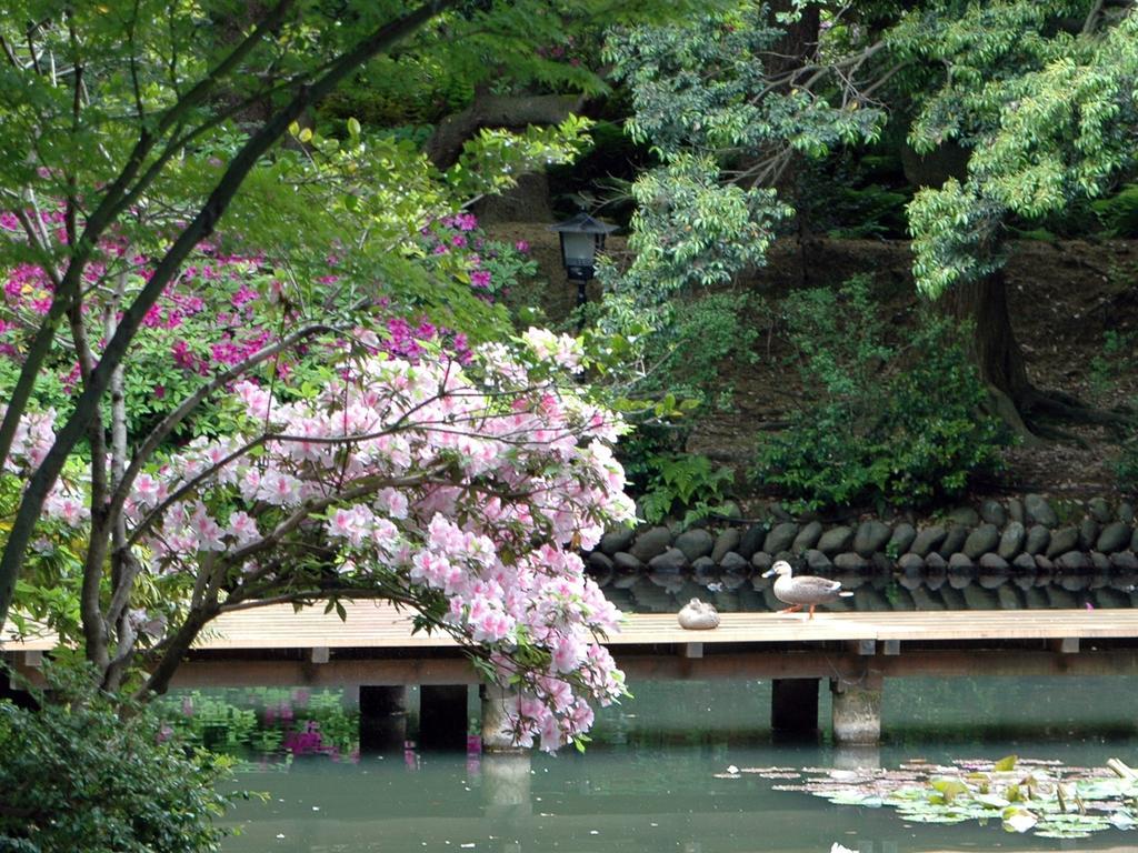 Matsusaki Nomi Exterior foto