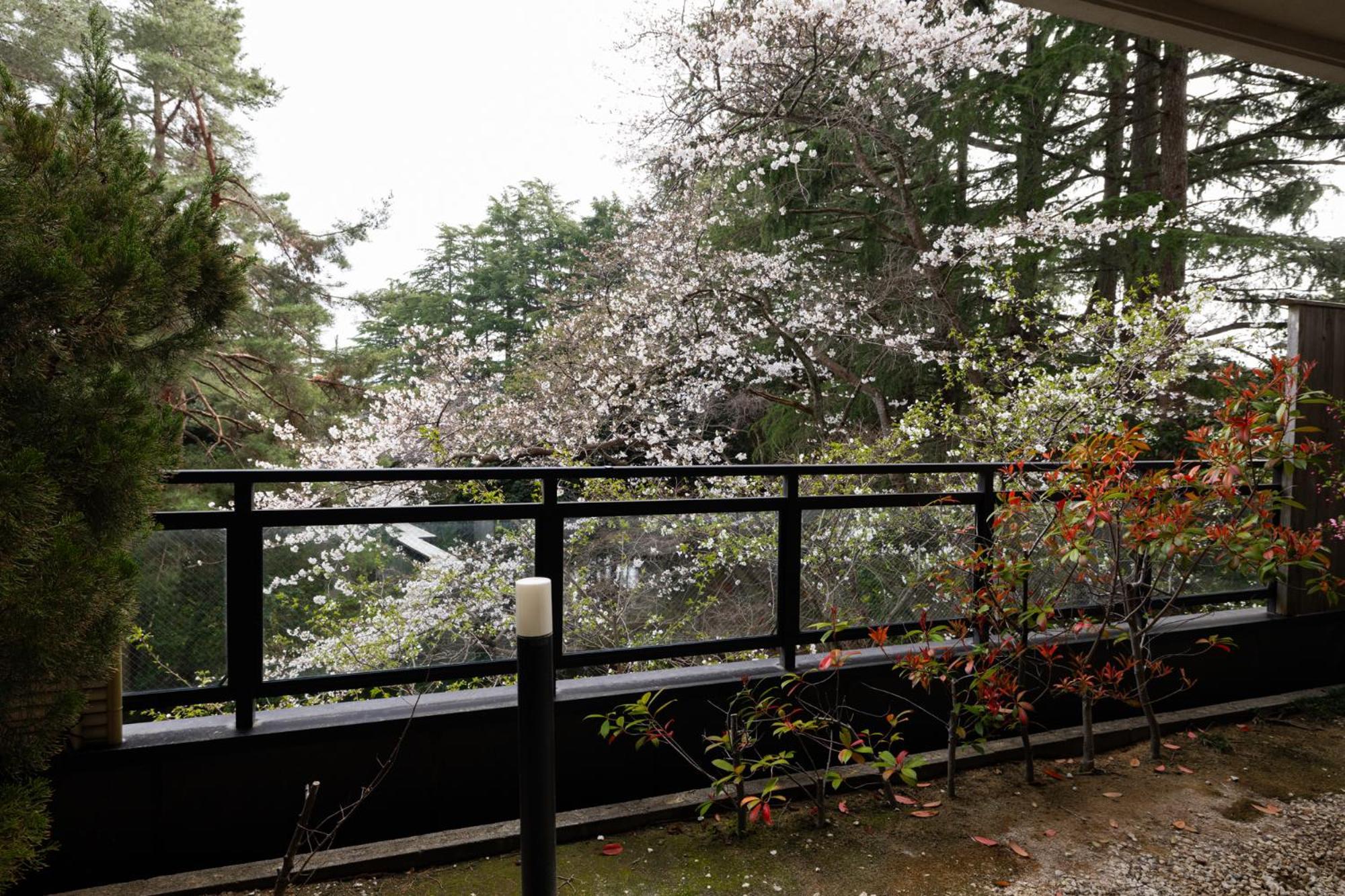 Matsusaki Nomi Exterior foto